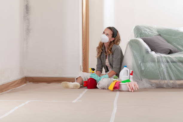 Reliable Crawl Space Mold Remediation contractor in Gresham, OR by 24 Hour Mold Removal